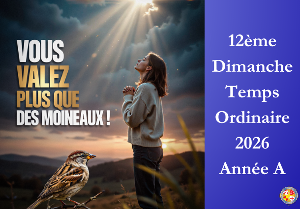 Vous valez plus que des moineaux - 12ème Dimanche du temps ordinaire 2026 - Site Catho Porte Nord Strasbourg