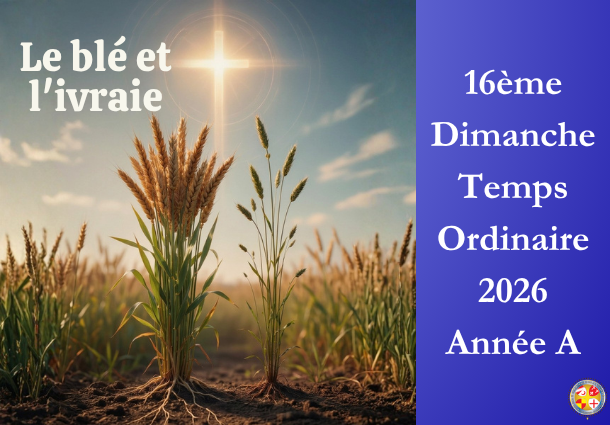 Le blé et l'ivraie - 16ème Dimanche du temps ordinaire 2026 - Image à la une - Site Catho Porte Nord Strasbourg