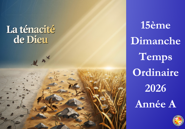 La ténacité de Dieu - 15ème Dimanche du temps ordinaire 2026 - Image à la une - Site Catho Porte Nord Strasbourg